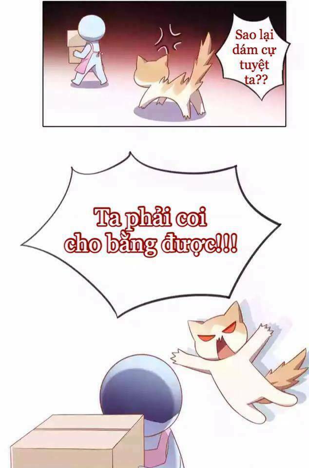 Dưới Móng Vuốt Mèo: Chapter 12