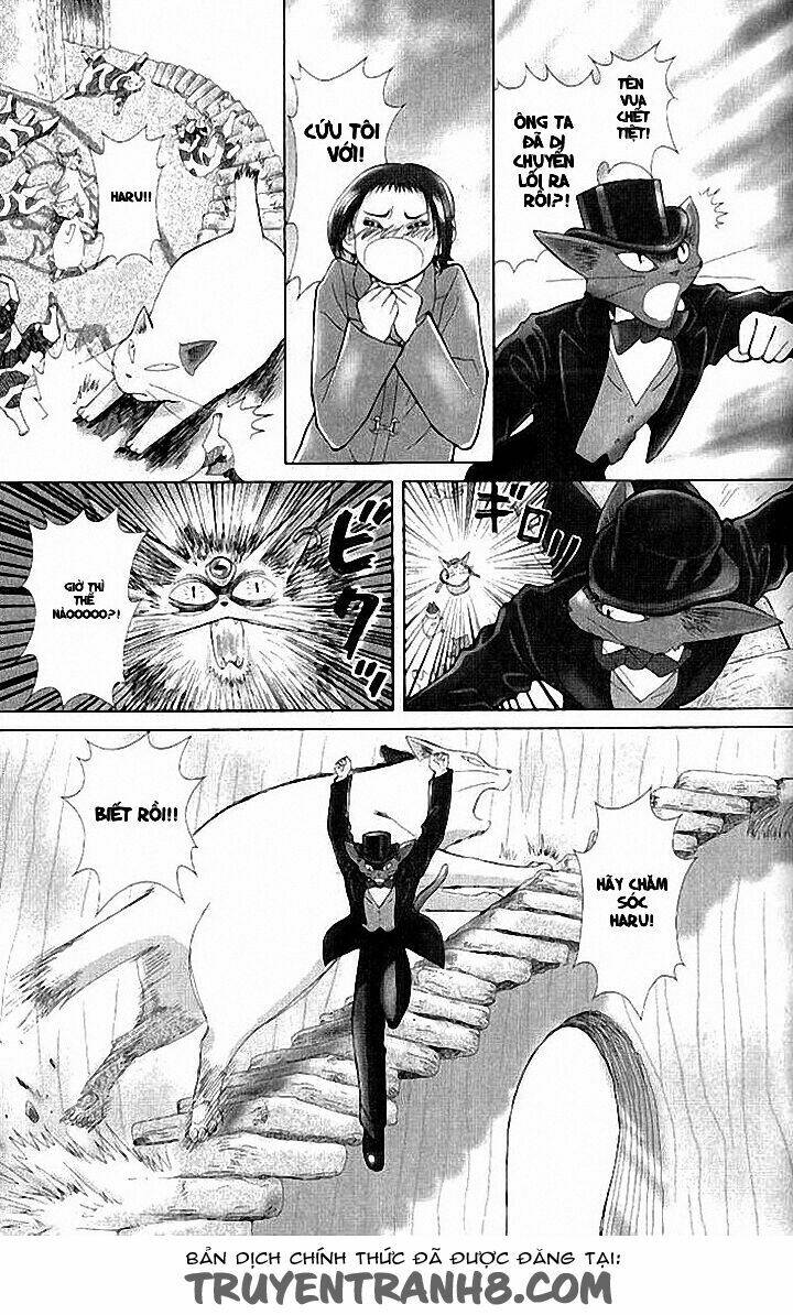 Lời Thì Thầm Từ Trái Tim: Chapter 8