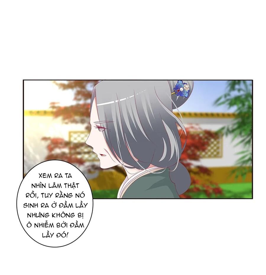 Thông Linh Phi: Chapter 601