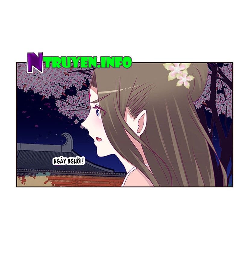 Thông Linh Phi: Chapter 333