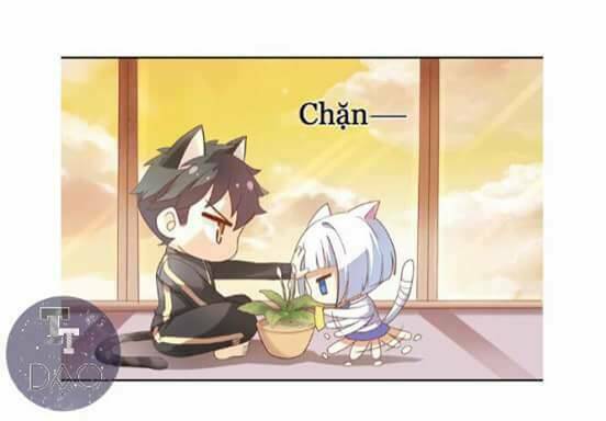 Dưới Móng Vuốt Mèo: Chapter 2