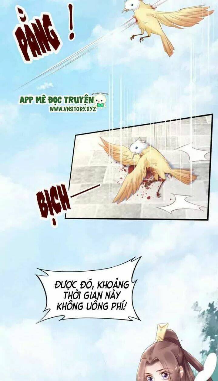 Nhất Sinh Nhất Thế Tiếu Thương Khung: Chapter 82