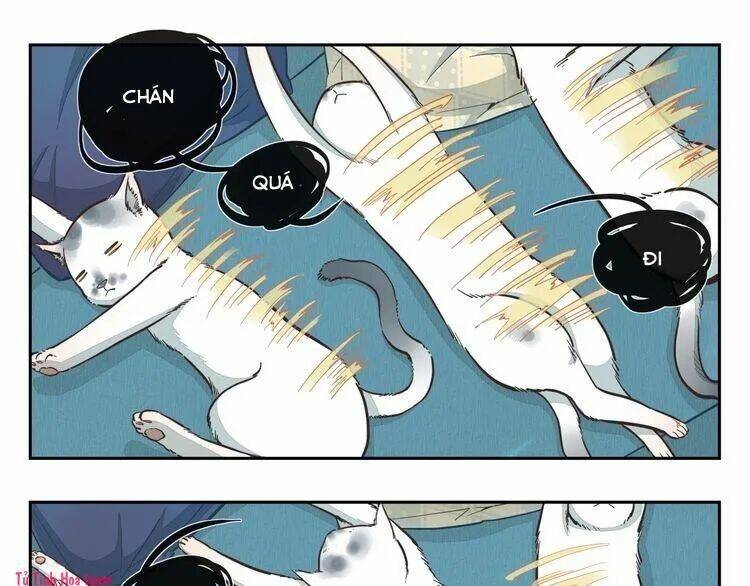 Thời Khắc Ấy, Chúng Ta Gặp Nhau: Chapter 17