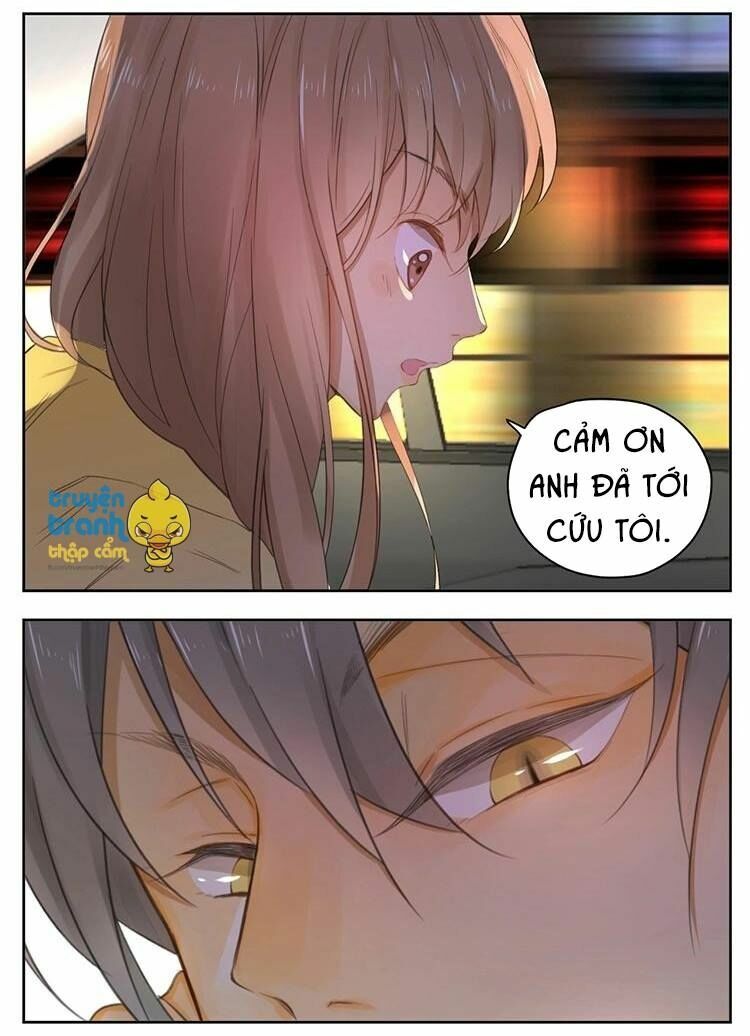 Cứu mạng ! Loài mèo thống trị thế giới rồi !: Chapter 26