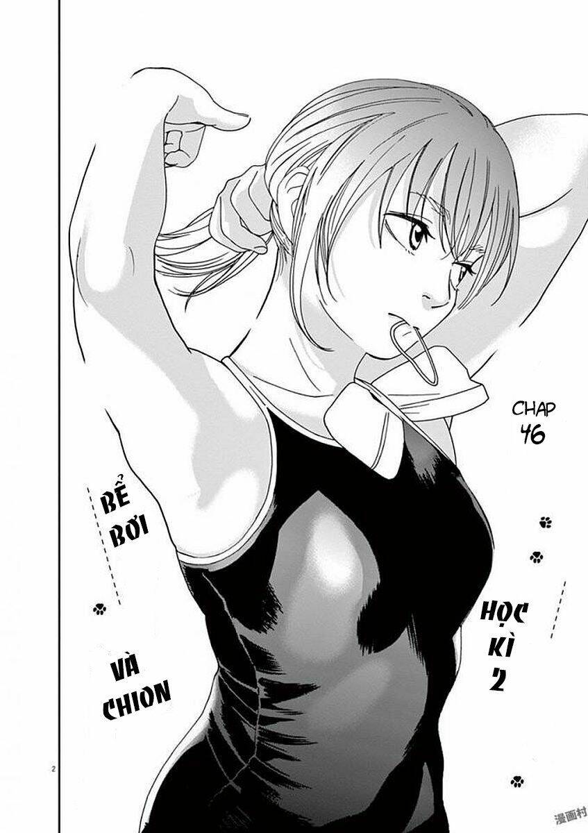 Neko No Otera No Chion-San: Chapter 46