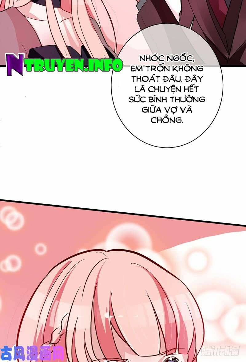 Manh Thê Khó Dỗ: Chapter 67