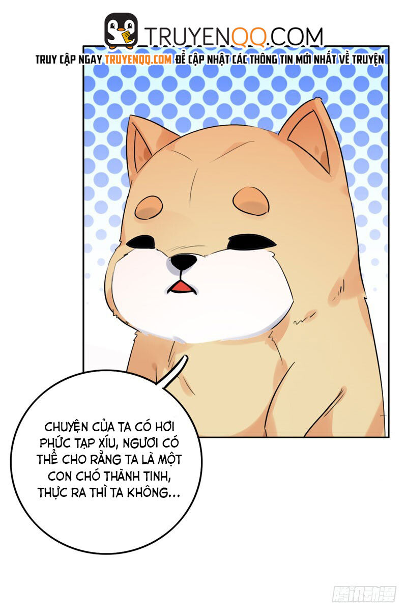 Lụ Đạn, Hôm Nay Lại Cũng Không Thể Biến Thành Người Được: Chapter 2