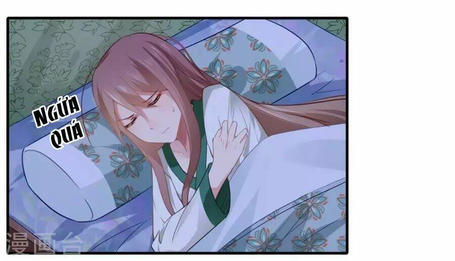 Khuynh Thế Y Phi Muốn Bỏ Chồng: Chapter 109