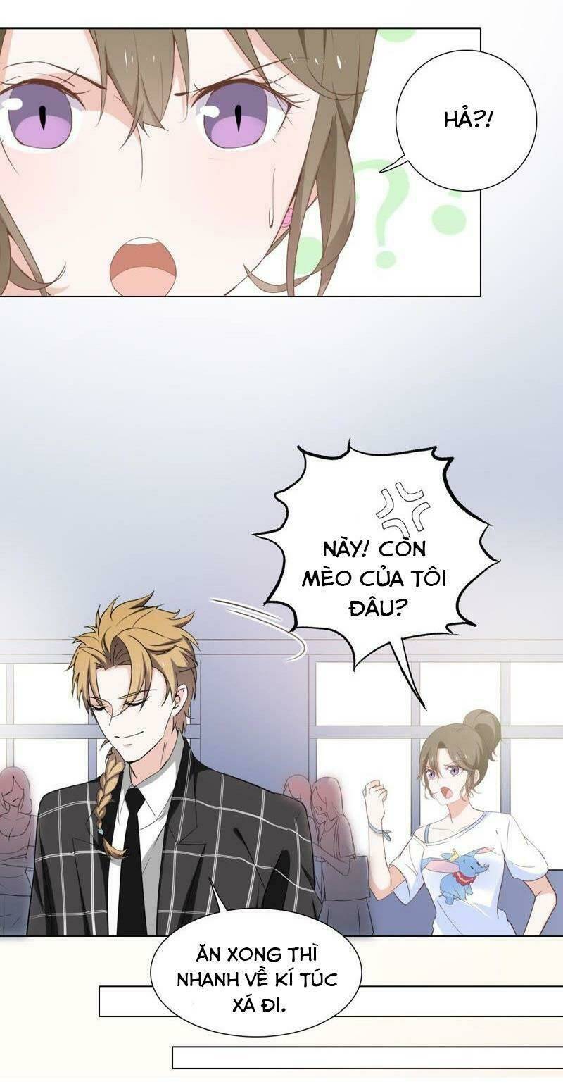 Thập Nhị Hắc Miêu: Chapter 4