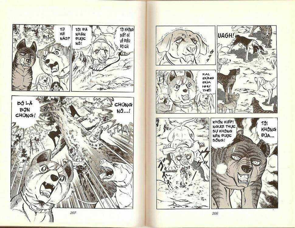 Chú Chó Có Nghĩa - Ginga Nagareboshi Gin: Chapter 17