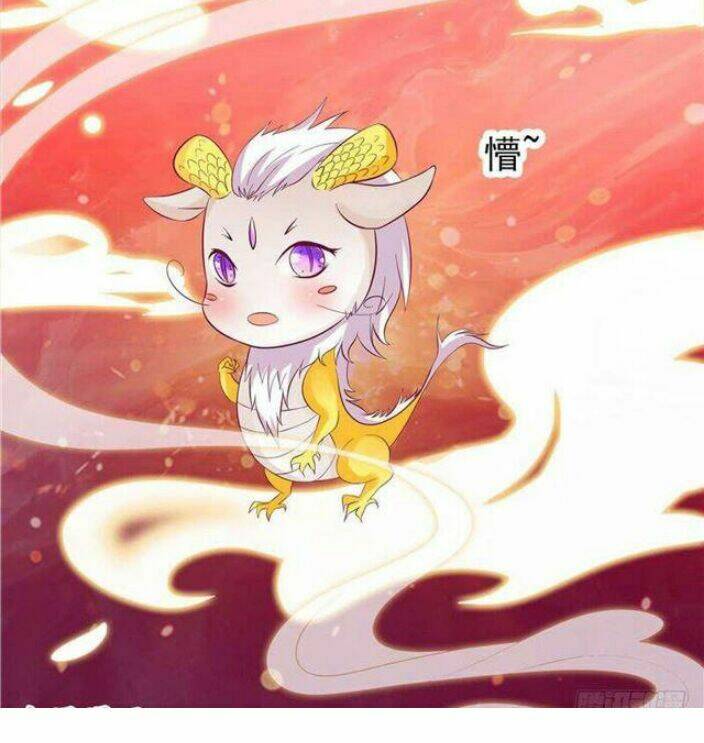 Nghịch Thiên Độc Y: Long Tôn Cầu Buông Ra: Chapter 5