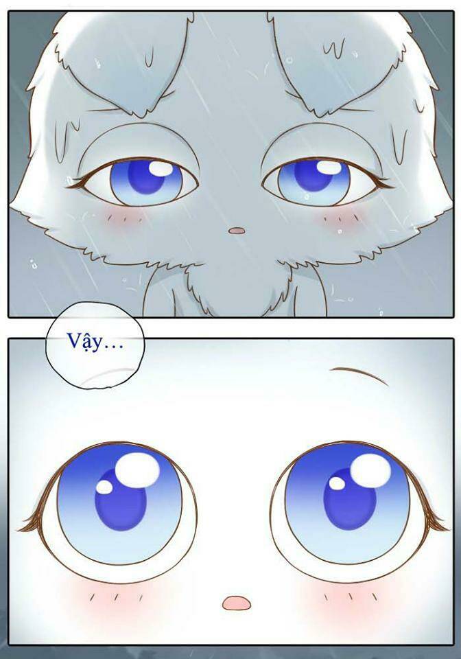 Tiểu Hồ Ly vs Tiểu Hóa Thượng: Chapter 10