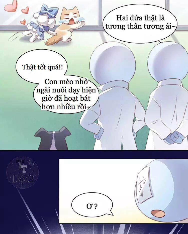 Dưới Móng Vuốt Mèo: Chapter 17