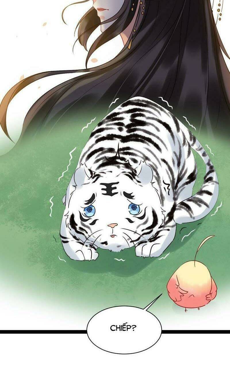 Thịnh Sủng Kiều Nữ Trở Về Triều Ca: Chapter 36