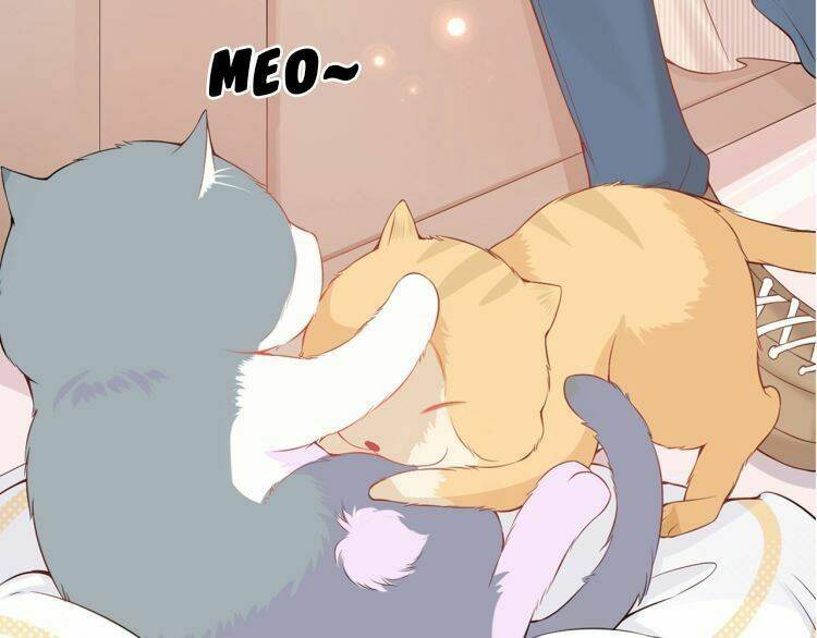 Bên Anh Mới Là Cả Thế Giới: Chapter 5