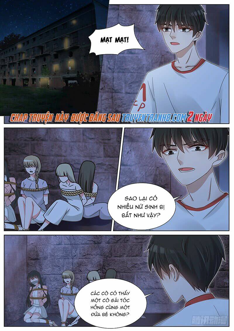 Vương Bài Giáo Thảo: Chapter 208