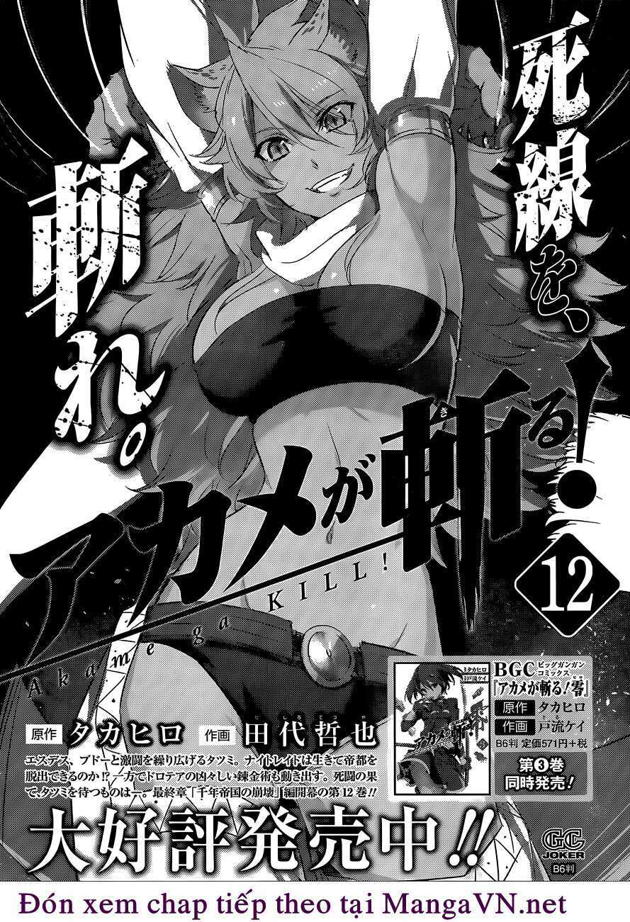 Akame Ga Kiru: Chapter 62