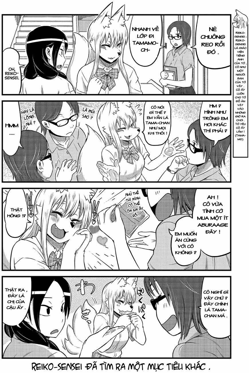 High School Inari Tamamo-Chan: Chapter 10