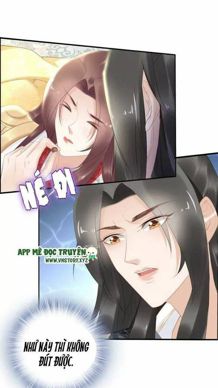 Nhất Sinh Nhất Thế Tiếu Thương Khung: Chapter 74