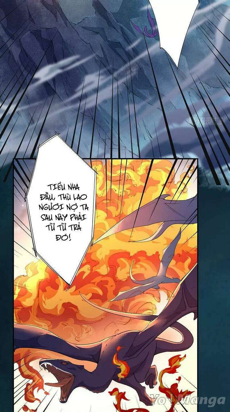 Tuyệt Thế Luyện Đan Sư: Chapter 95