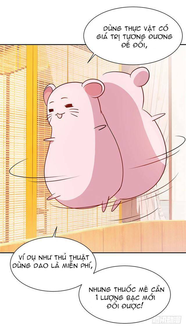 Đế Hoàng Chi Thần Y Khí Phi: Chapter 4