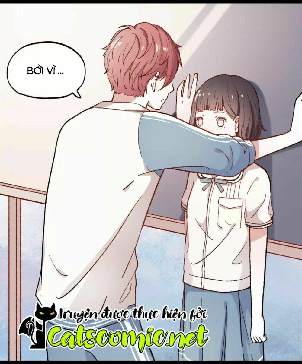 Cậu Đã Từng Yêu Tôi: Chapter 29