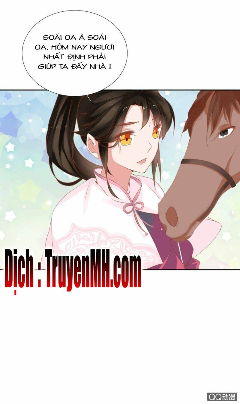 Solo Đi Vương Gia: Chapter 137