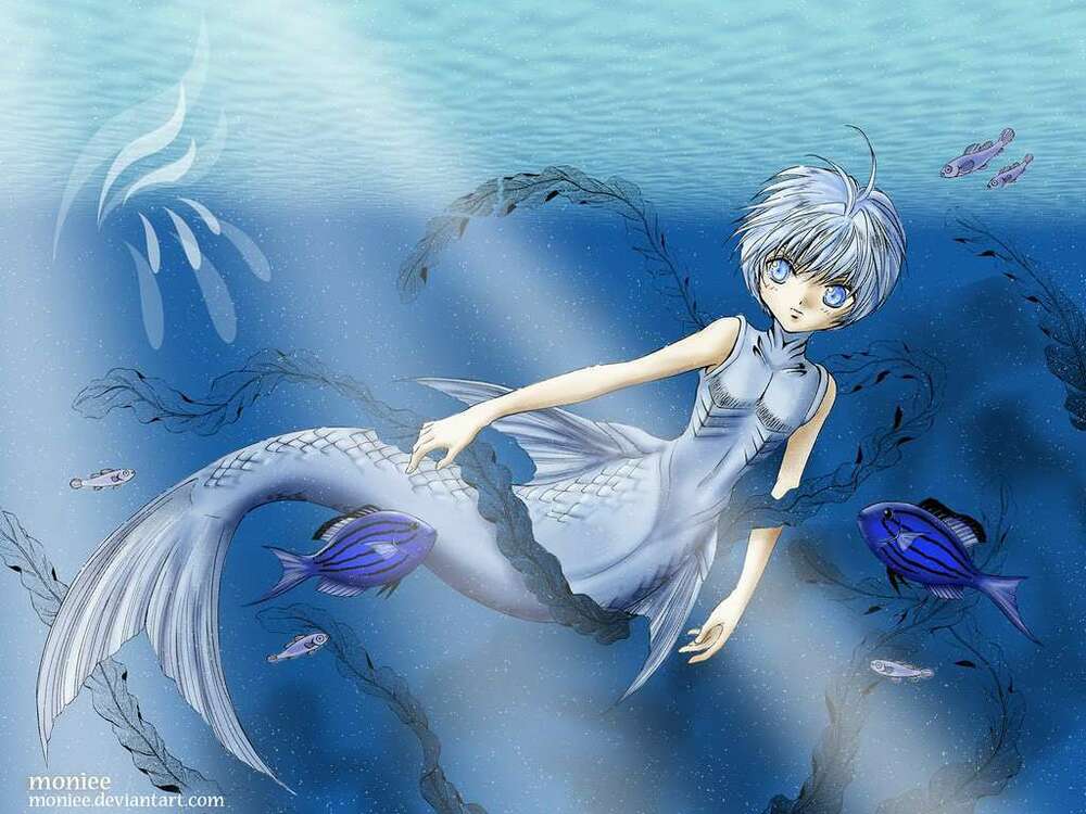 Wallpaper: Chapter 11