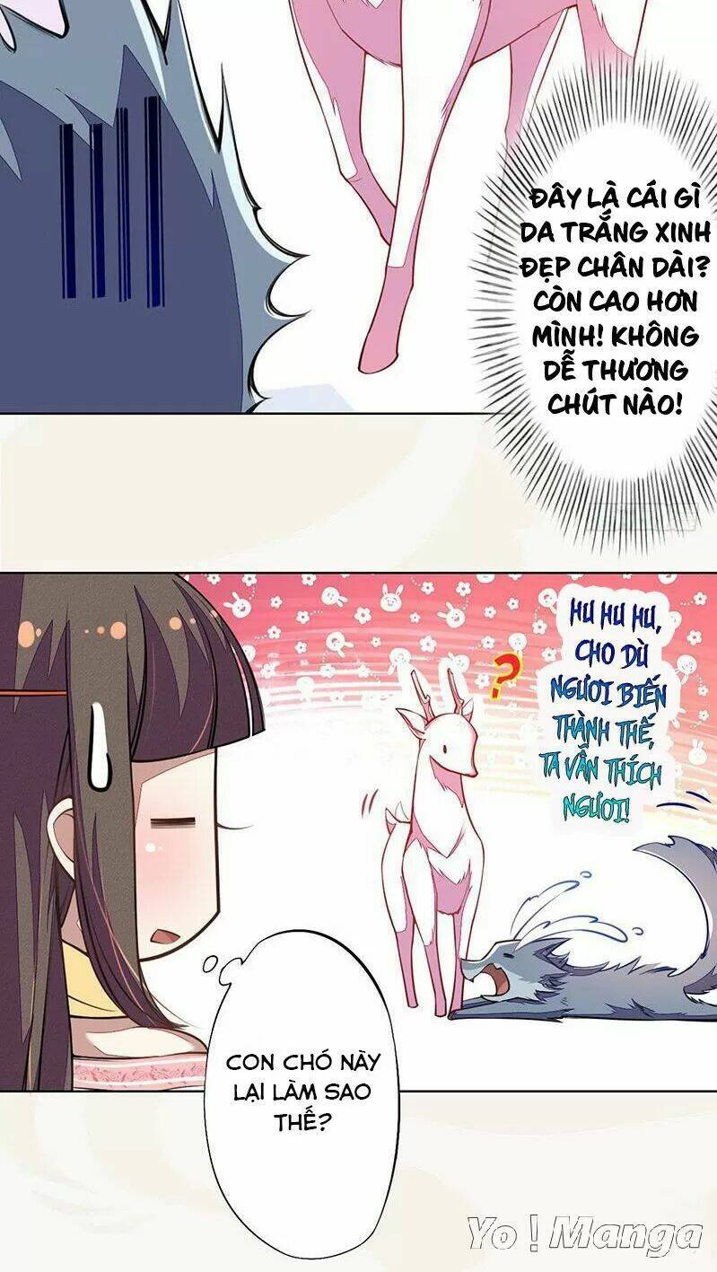 Tuyệt Thế Luyện Đan Sư: Chapter 102