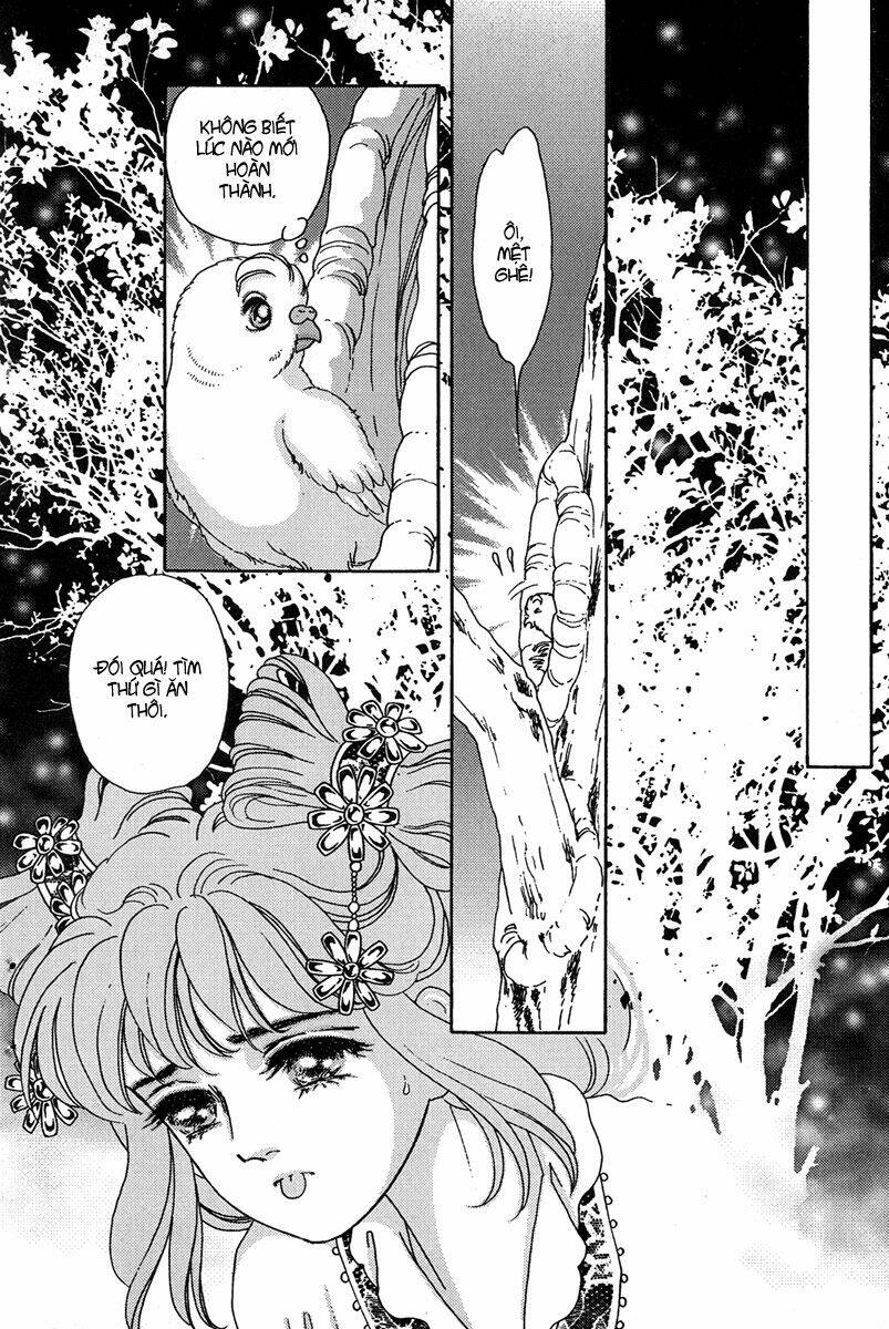 Bird Of Youth: Chapter 4