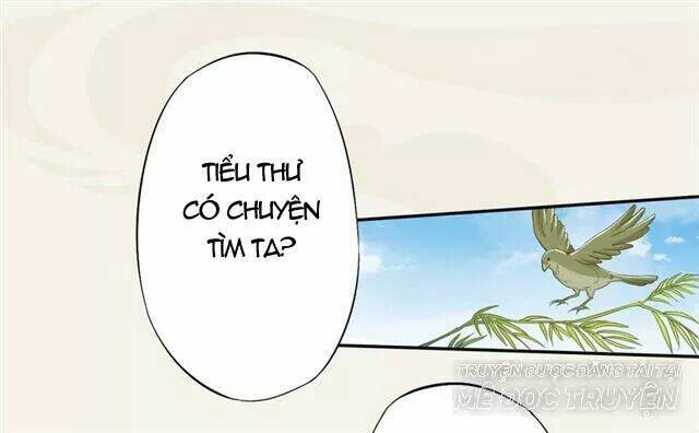 Tuyệt Thế Luyện Đan Sư: Chapter 17