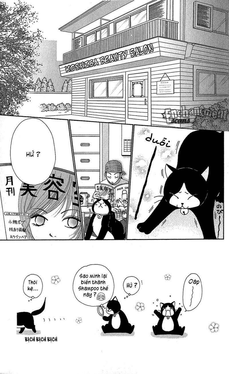 Dự Án Kéo Vàng: Chapter 36