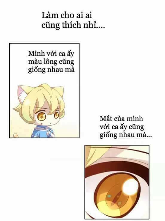 Dưới Móng Vuốt Mèo: Chapter 10