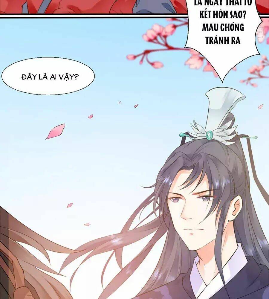 Tang Lạc Túy Tại Nam Phong Lý: Chapter 1