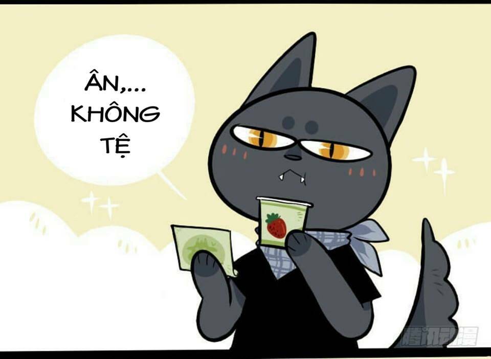 Đời Không Như Mình Tưởng: Chapter 2