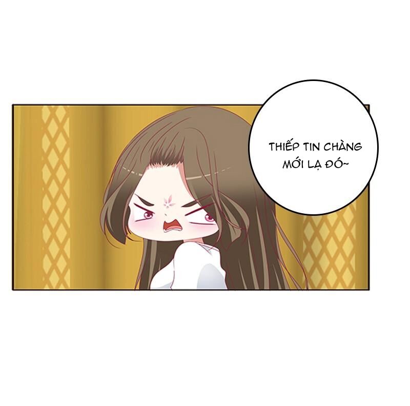 Thông Linh Phi: Chapter 488