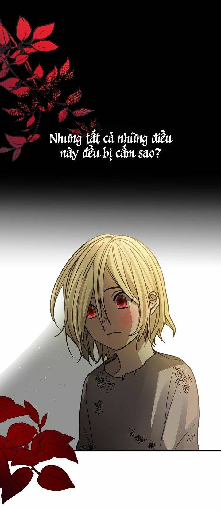 Ba Người Anh Trai Của Tôi Là Bạo Quân: Chapter 2