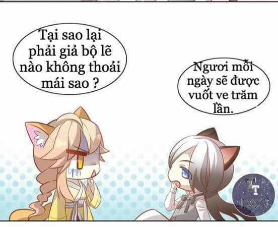 Dưới Móng Vuốt Mèo: Chapter 8