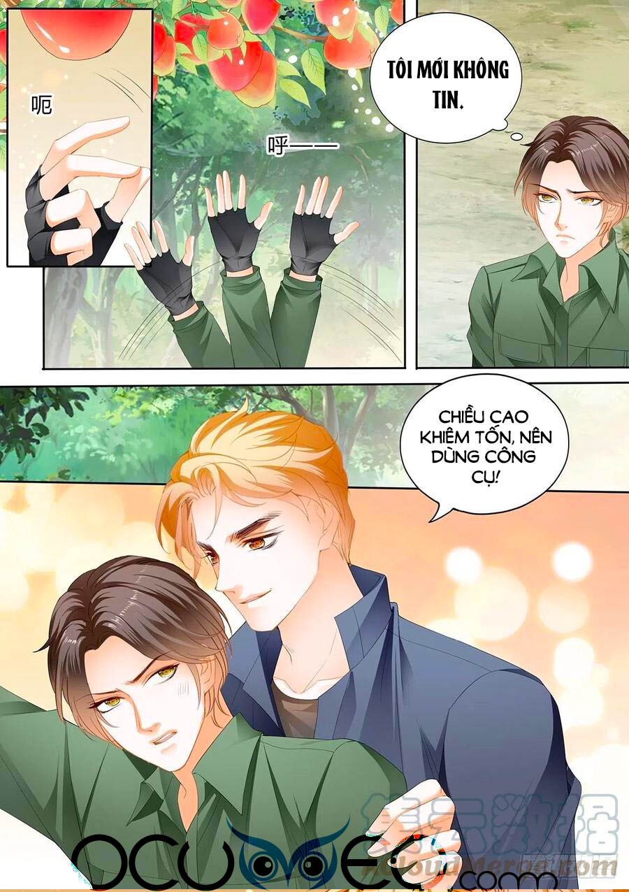 Bá Đạo Tiểu Thúc, Xin Trêu Chọc Vừa Thôi!: Chapter 247