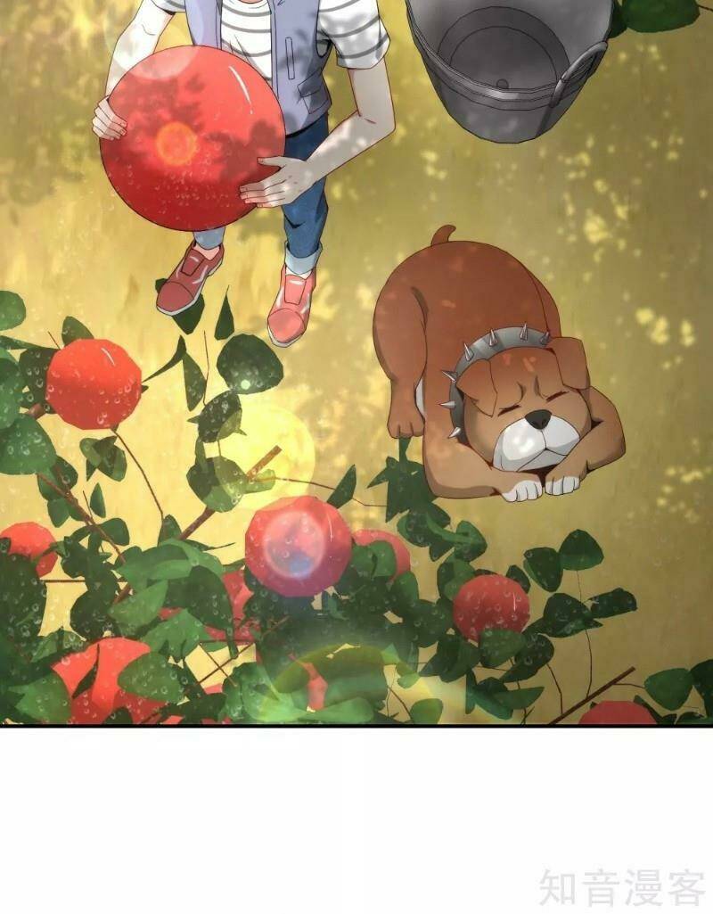 Vòng Bạn Bè Mạnh Nhất Của Tiên Giới: Chapter 19