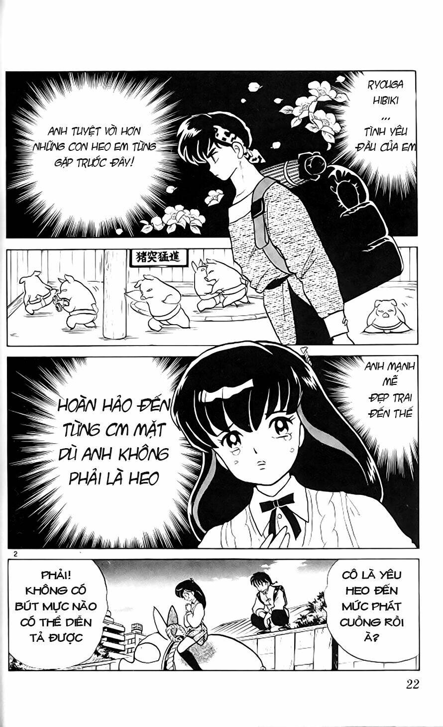 Suối Lời Nguyền: Chapter 313