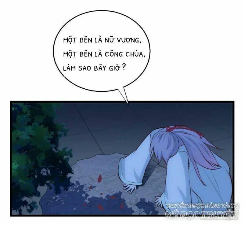 Bẩm Báo Công Chúa !: Chapter 29