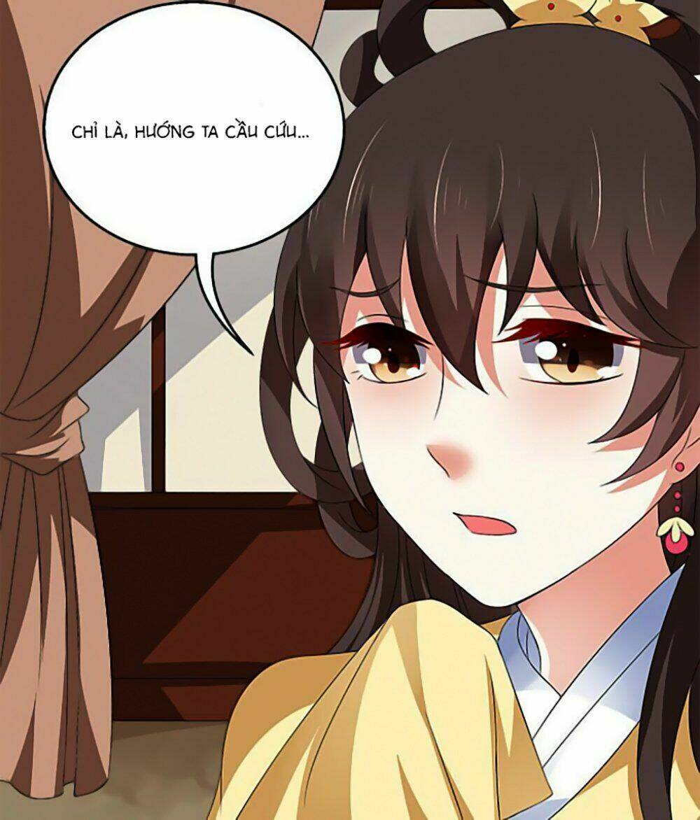 Thịnh Thế An Nhiên: Chapter 5