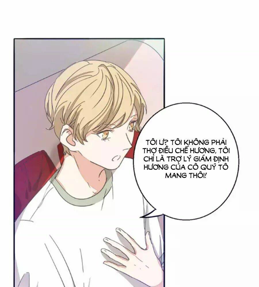 Mùi Hương Lãng Mạn: Chapter 31