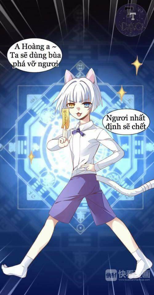 Dưới Móng Vuốt Mèo: Chapter 1