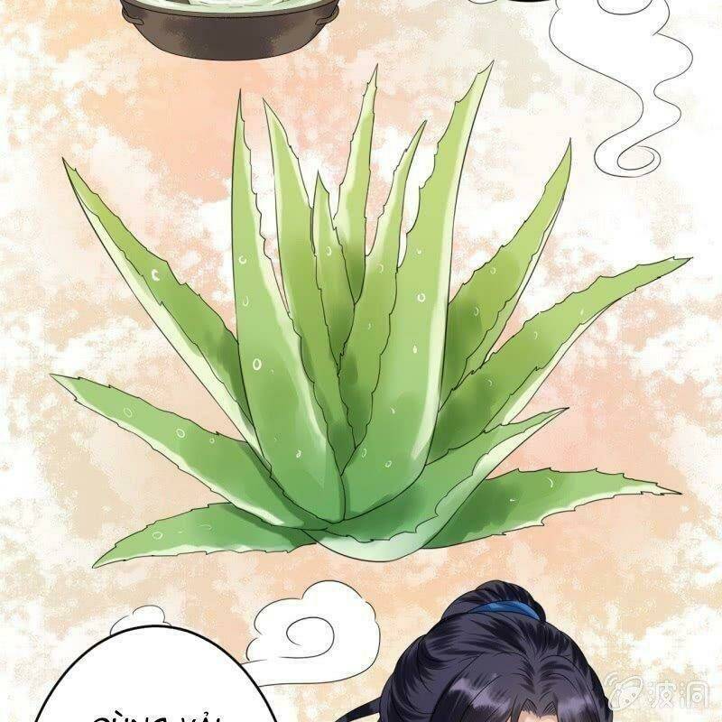 Vương Gia Kiêu Ngạo Quá Khó Cua: Chapter 62