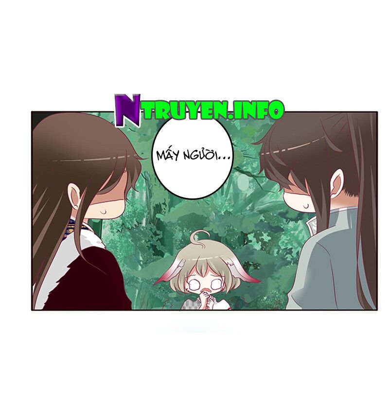 Thông Linh Phi: Chapter 315
