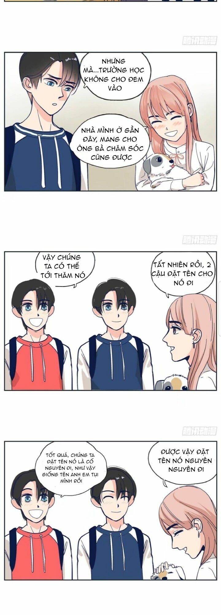 Song Bào Thai Theo Đuổi Nữ Thần: Chapter 2