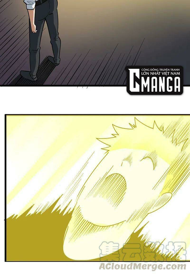 Hộ Hoa Cao Thủ Tại Vườn Trường: Chapter 247