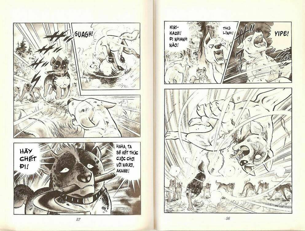 Chú Chó Có Nghĩa - Ginga Nagareboshi Gin: Chapter 19